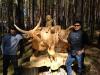 Победителями фестиваля «Лукоморье на Байкале» стали скульпторы из Монголии 