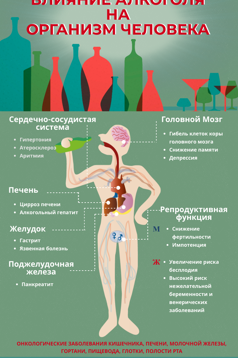 Пагубное влияние алкоголя на организм человека презентация