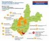 Новые случаи коронавируса подтверждены в двух районах Приангарья