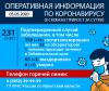 Новый антирекорд: 231 случай коронавируса подтвержден в Иркутской области
