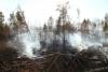 В Иркутской области локализован крупный лесной пожар в Катангском районе