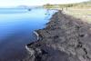 Ученые обнаружили загрязнения воды Байкала фекалиями