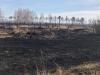 Первый в этом году лесной пожар зафиксирован в Иркутской области