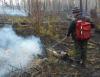Два лесных пожара погасили в Иркутской области