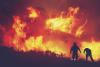 Три новых пожара обнаружены за сутки в Иркутской области