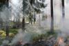 Самолет Минобороны за сутки локализовал шесть очагов лесных пожаров в Иркутской области