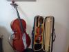 Новые скрипки и виолончели получат музыкальные школы Иркутской области