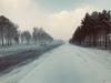 Погода ухудшится в Иркутской области 20 ноября