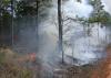 Два первых лесных пожара в 2022 году зарегистрировали 14 апреля в Иркутской области