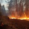 Село Буря в Зиминском районе спасли от лесного пожара