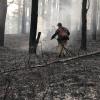 Лесных пожаров в Иркутской области не зафиксировано