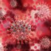 Дневная заболеваемость коронавирусом в Иркутской области бьет рекорды