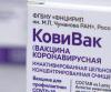 В пяти торговых центрах Иркутска и Ангарска вновь открыли пункты вакцинации от COVID-19