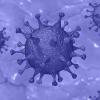 625 человек заболели коронавирусом в Иркутской области за прошедшие сутки