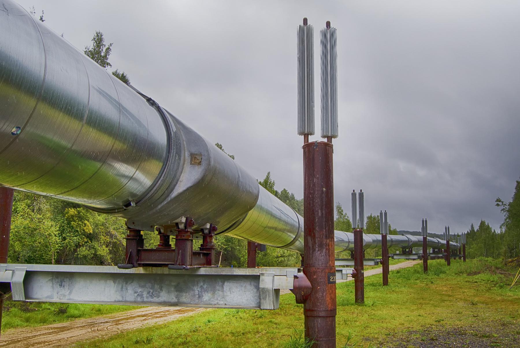 Российские власти обдумывают расширение газопроводов через Черное море в  Турцию. - СИА