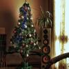 Иркутяне могут сдать новогоднюю елку в городской зоосад