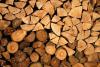 Бизнесмена обвинили в контрабанде древесины из Приангарья в Азию на сотни миллионов рублей