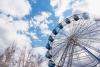 Свадьбу на колесе обозрения проведут в Иркутске в красивую дату