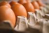 Иркутская область обеспечивает себя куриным яйцом на 156%