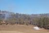 Четыре лесных пожара произошло в Иркутской области за минувшие сутки