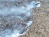 Лесной пожар остановили в шести километрах от Вихоревки