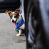 <p>Фото Е. Козырева</p>