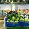 <p>����:&nbsp;https://pixabay.com/photos/market-food-shop-sale-supermarket-3250212/</p>

