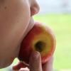 <p>����:&nbsp;https://pixabay.com/photos/apple-bite-feed-meal-vitamins-1137742/</p>

